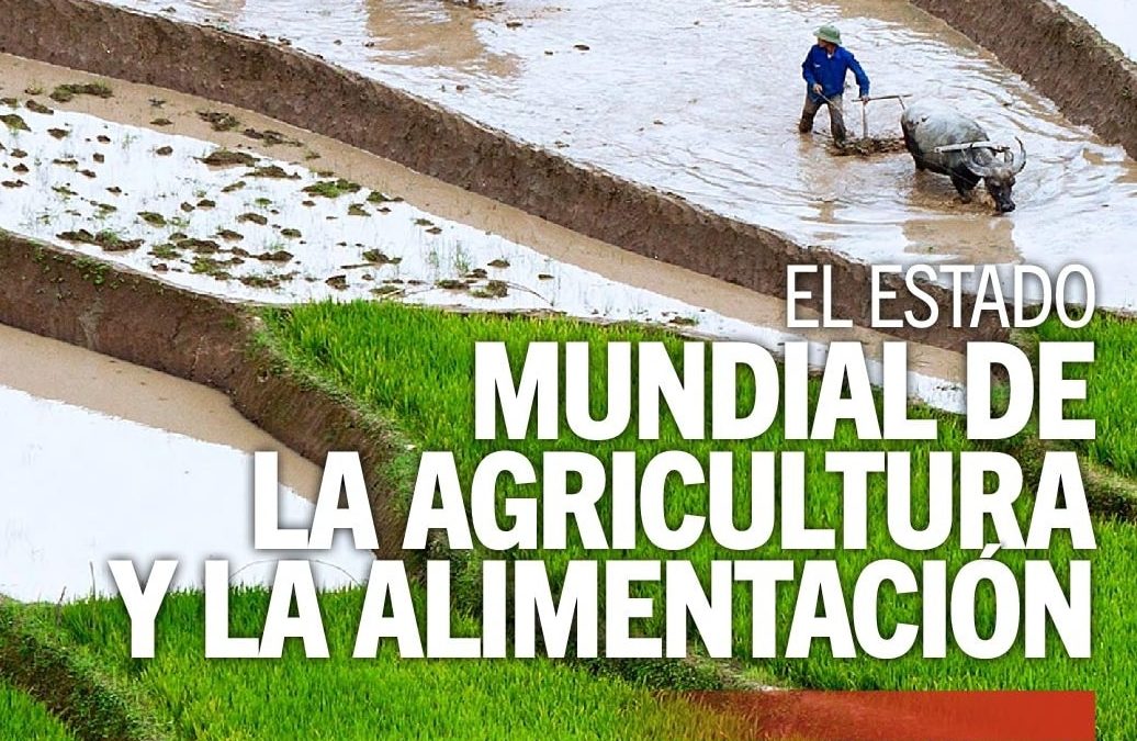 Estado de la Agricultura y la Alimentación 2019