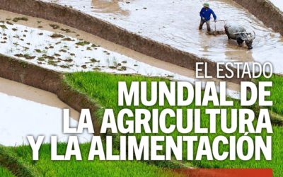 Estado de la Agricultura y la Alimentación 2019