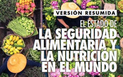 Estado de la Seguridad Alimentaria y la Nutrición en el mundo 2020