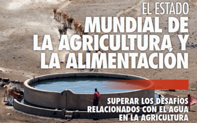 El estado mundial de la agricultura y la alimentación 2020