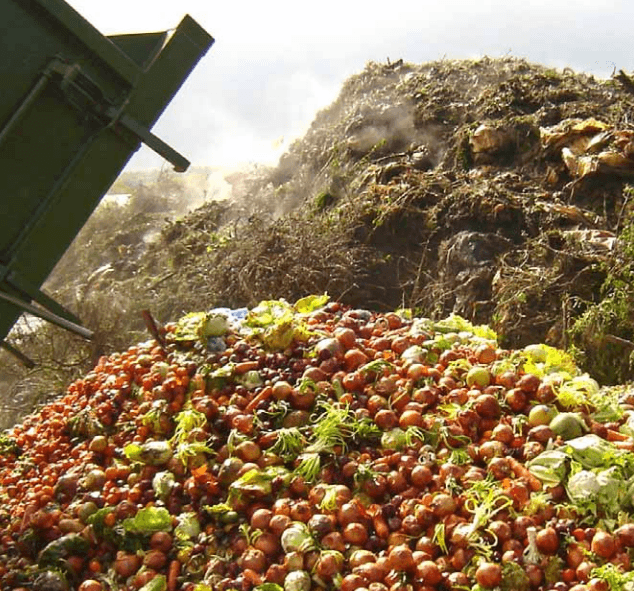 Documento de posición sobre las pérdidas y desperdicios alimentarios